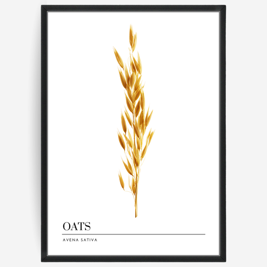 Oats