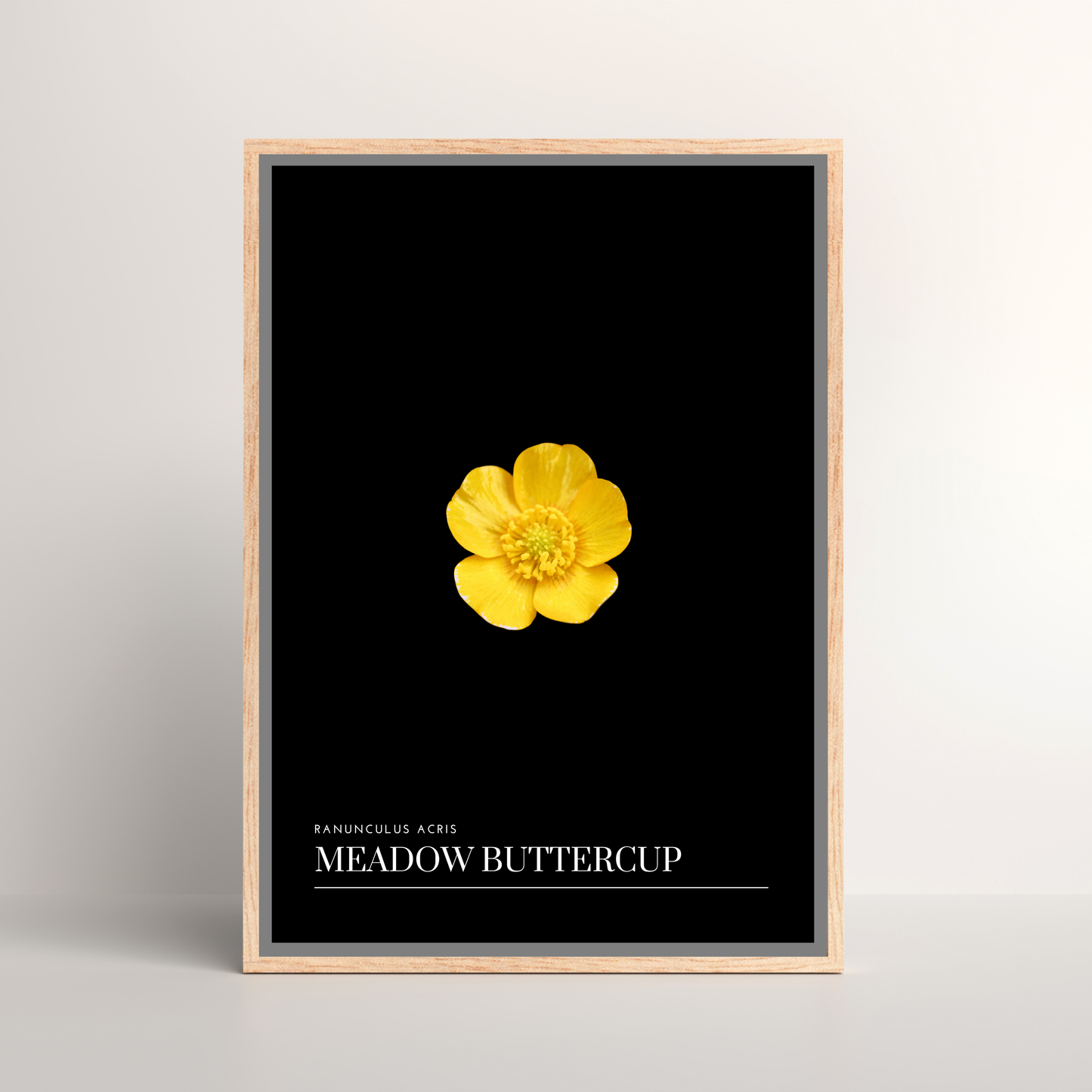 Meadow Buttercup