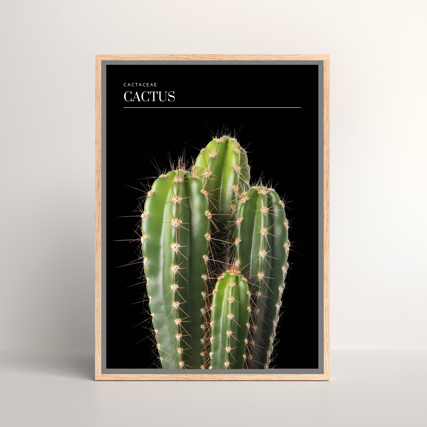 Cactus