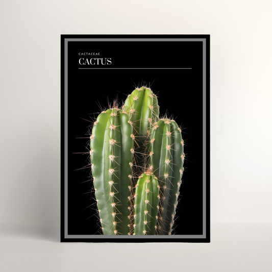 Cactus