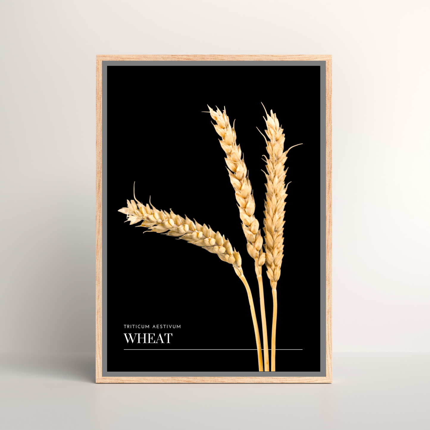 Wheat