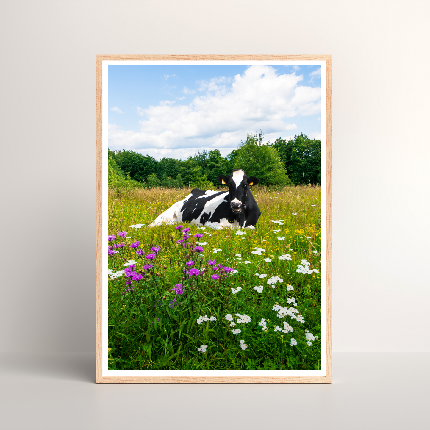 Field Cow