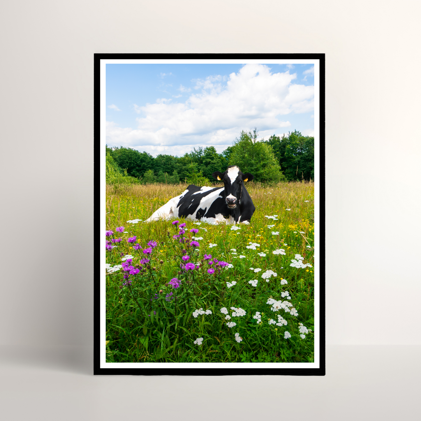 Field Cow