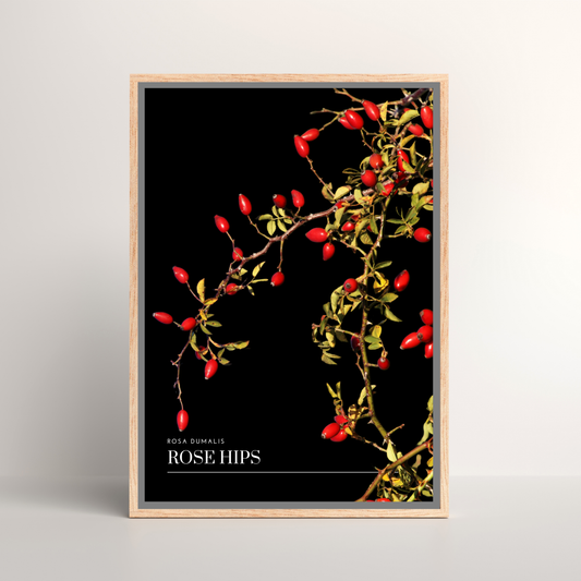 Rose Hips