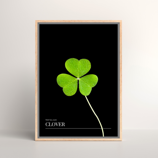 Clover