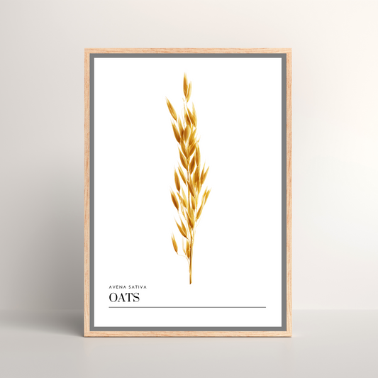 Oats