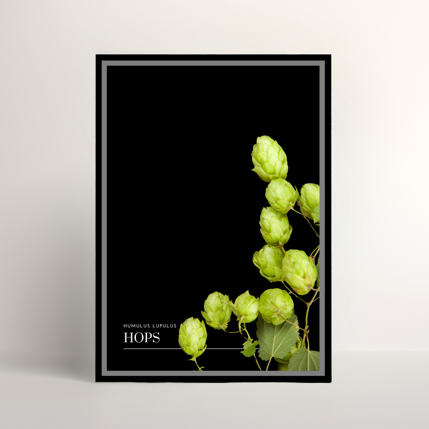 Hops