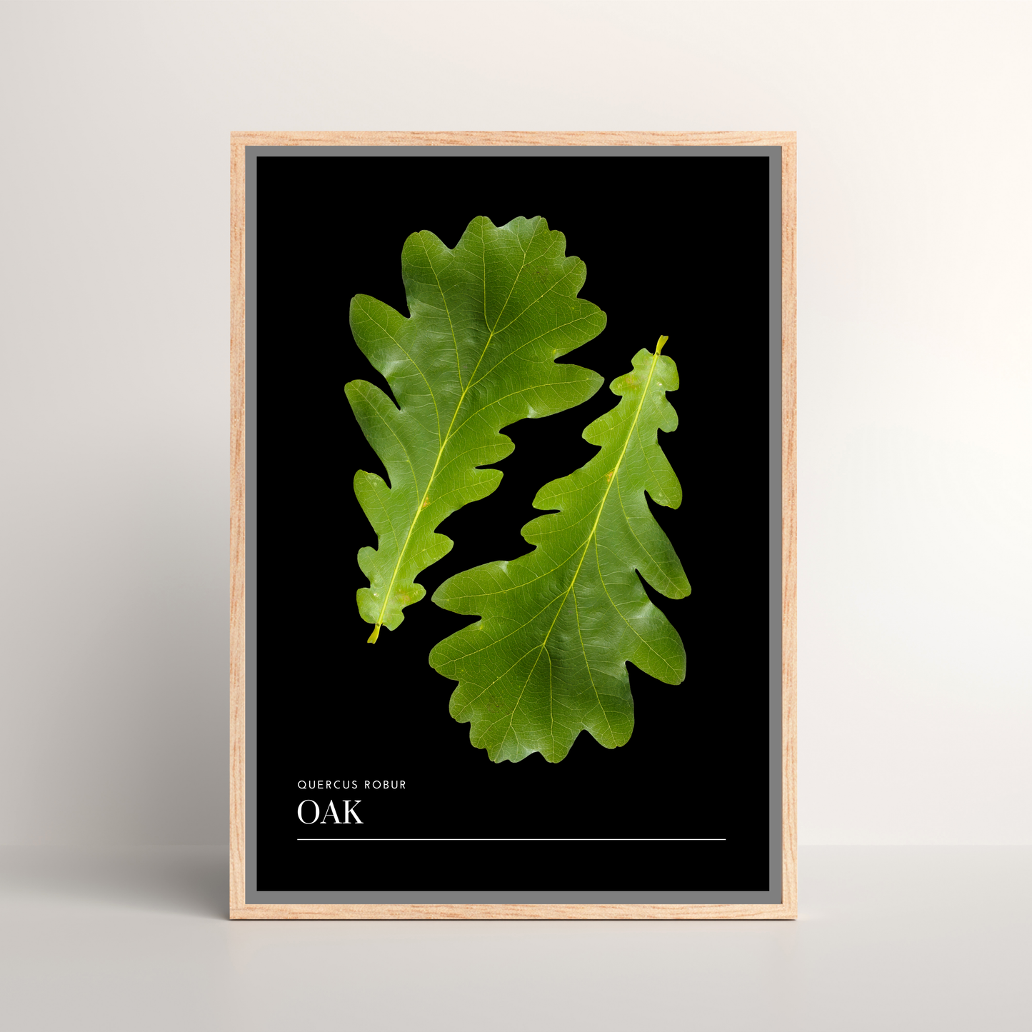 Oak