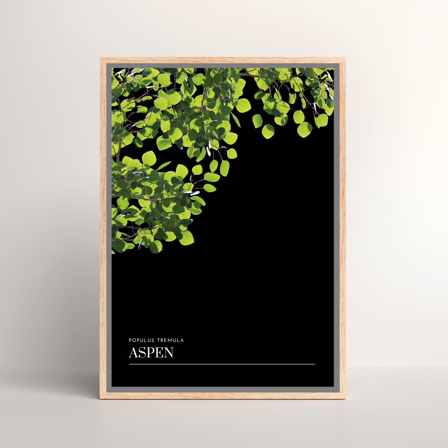 Aspen