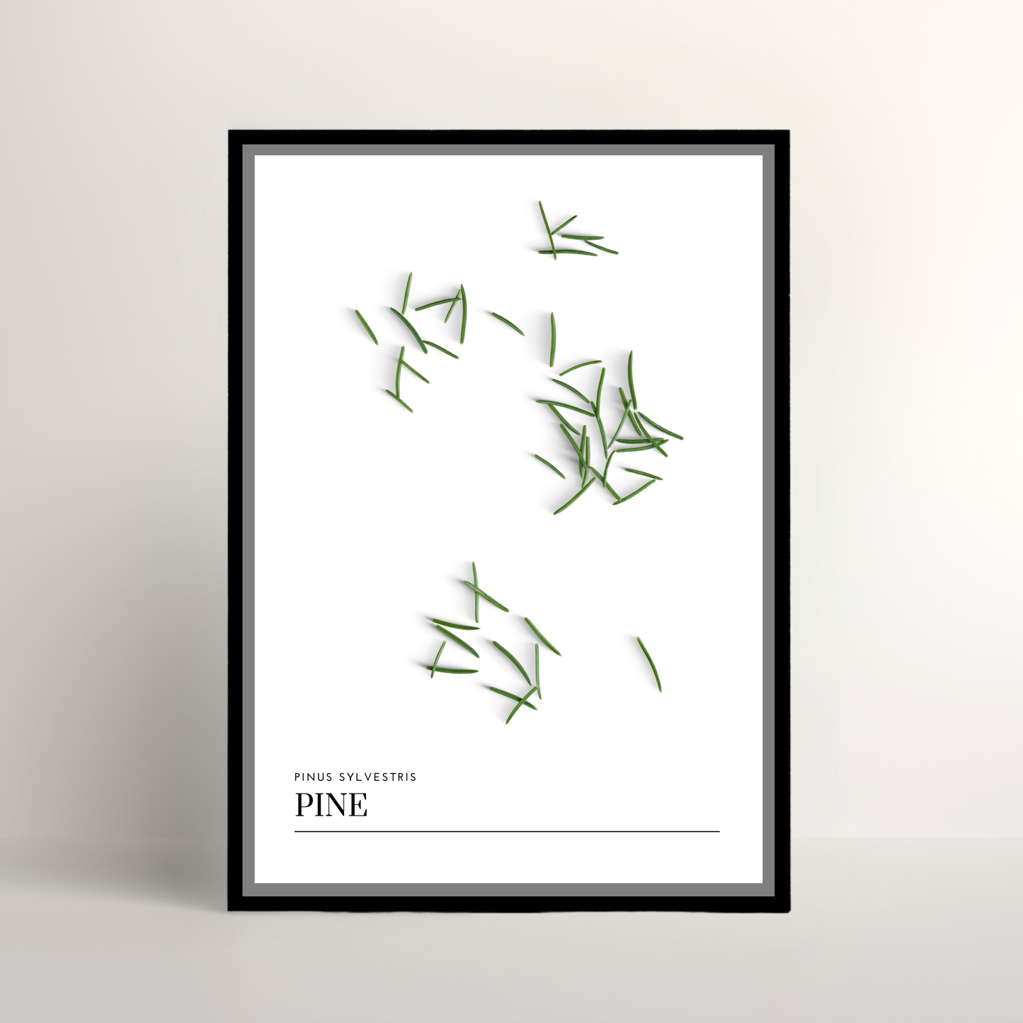 Pine