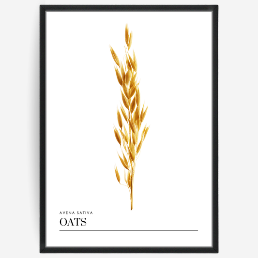 Oats