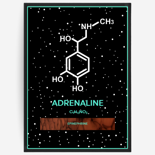Chemistry poster showing the 2D molecular structure of adrenaline on a black background with white dots and turquoise passepartout, including text elements of the molecule name, molecular formula and IUPAC name.