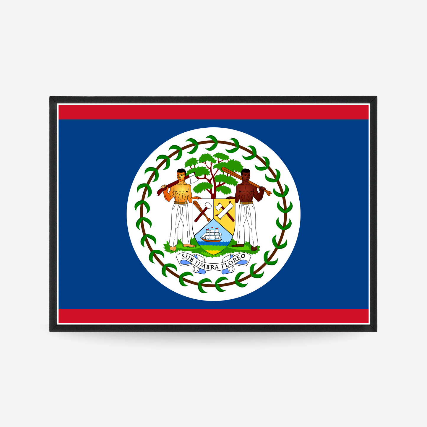 Poster of the flag of Belize flag poster
