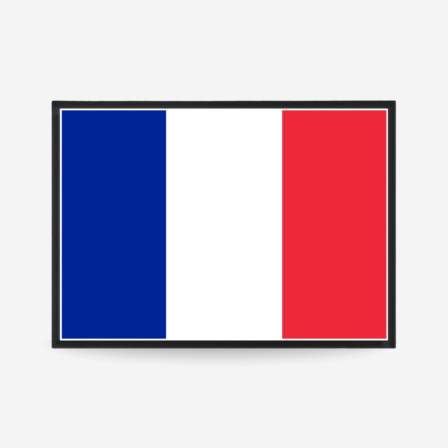 Poster of the flag of France
