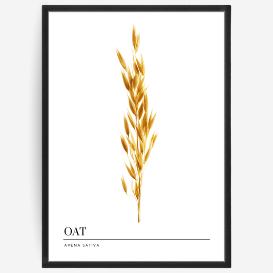 Oat