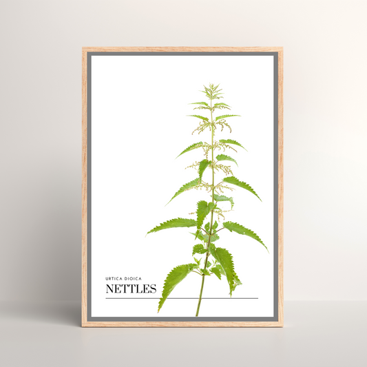 Nettles
