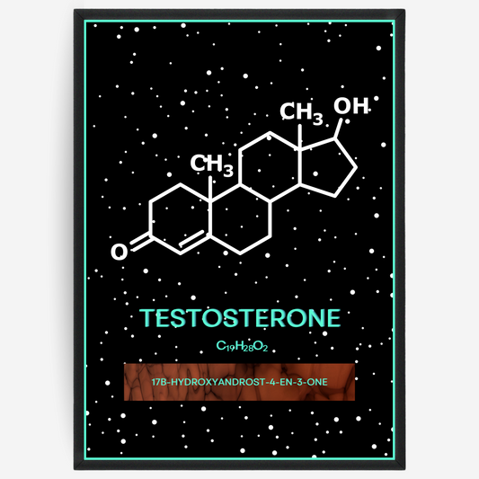 Chemistry poster showing the 2D molecular structure of testosterone on a black background with white dots and turquoise passepartout, including text elements of the molecule name, molecular formula and IUPAC name.
