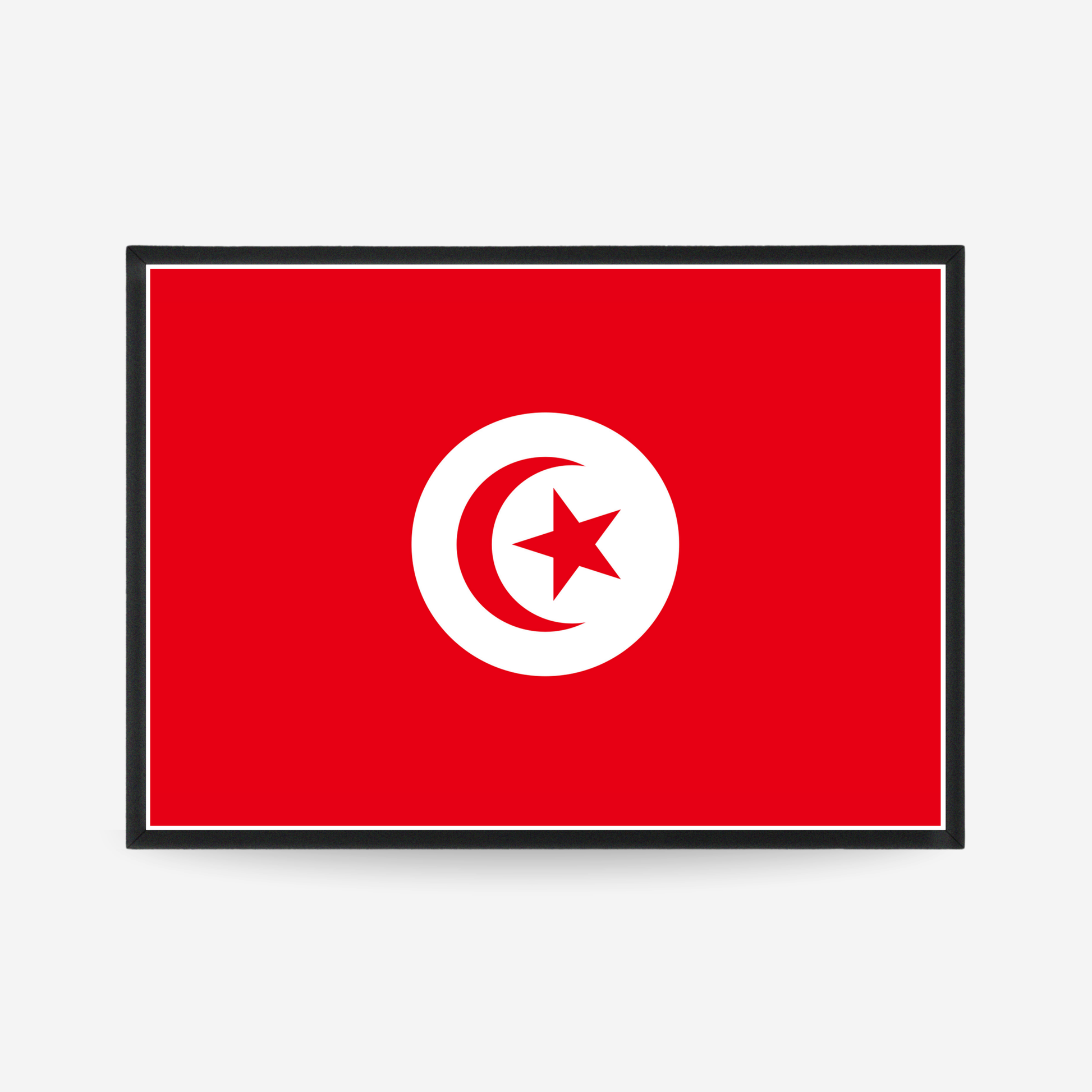 Poster of the flag of tunisia
